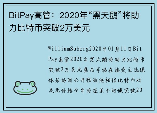 BitPay高管：2020年“黑天鹅”将助力比特币突破2万美元 