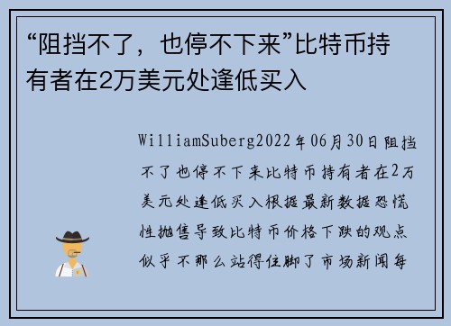 “阻挡不了，也停不下来”比特币持有者在2万美元处逢低买入 